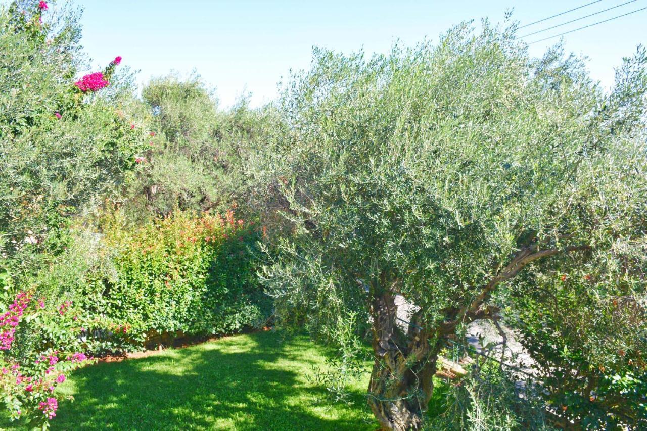 Pebbles And Sea At Barbati With Shared Pool Apartamento Exterior foto